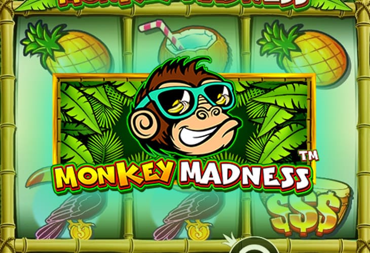 Monkey Madness - Pragmatic Play slot at CzechBet Kasino Casino